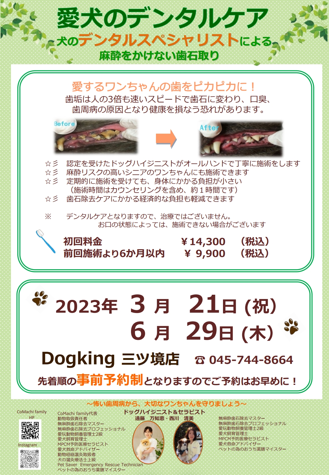 三ツ境店！2023年より歯石除去開催⭐︎