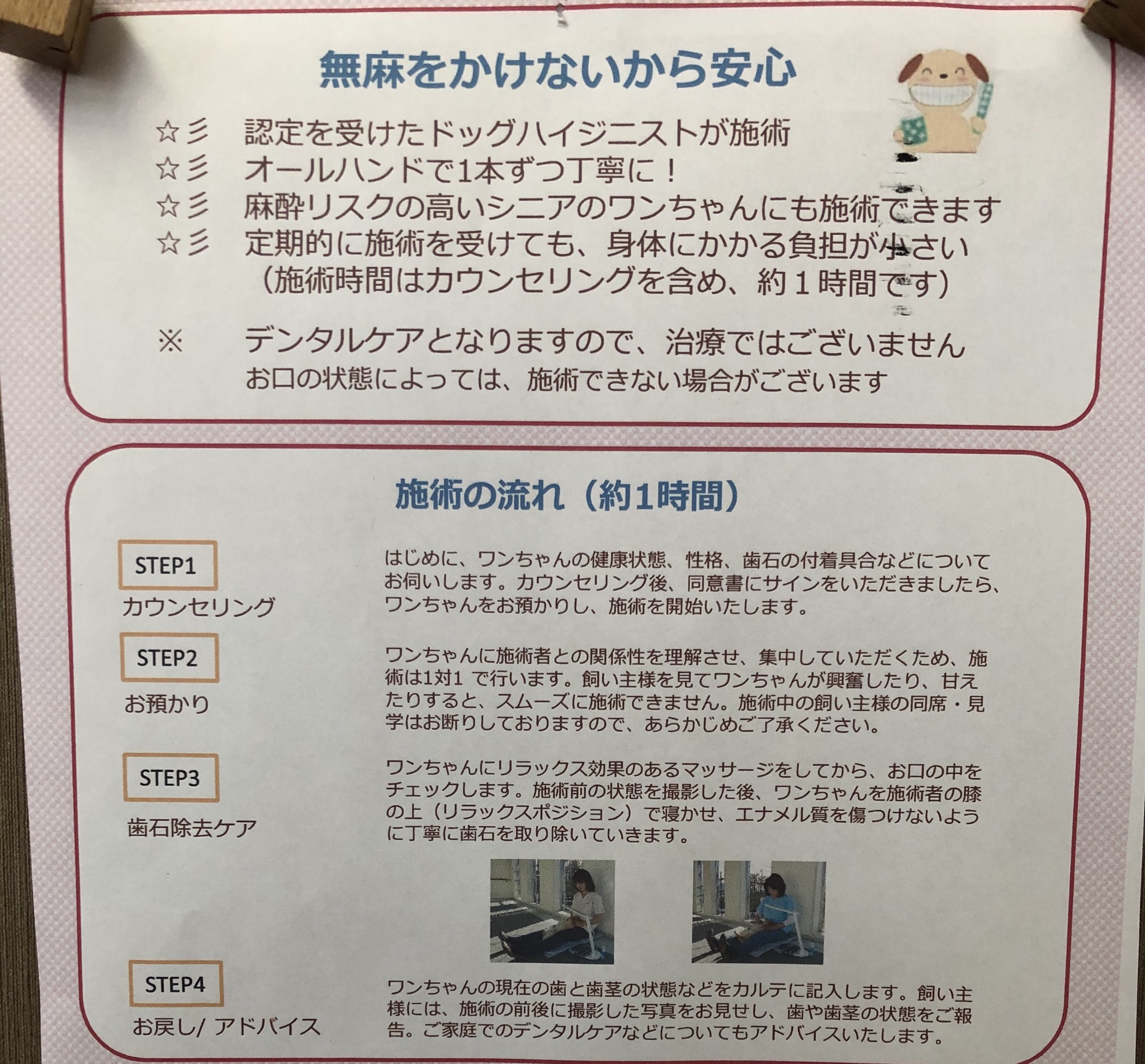 無麻酔歯石除去のお知らせ⭐︎中田店