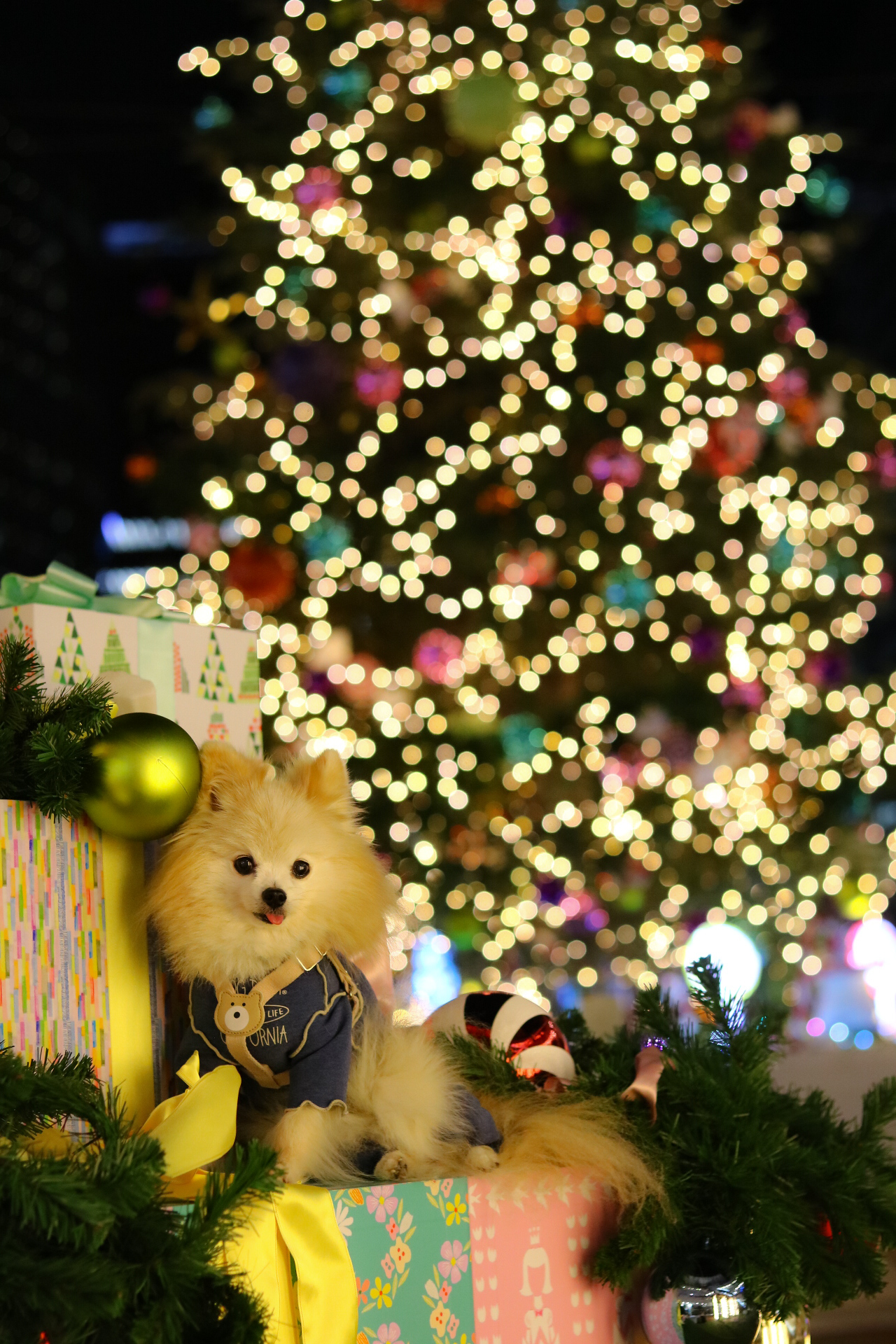 クリスマスまで後少し