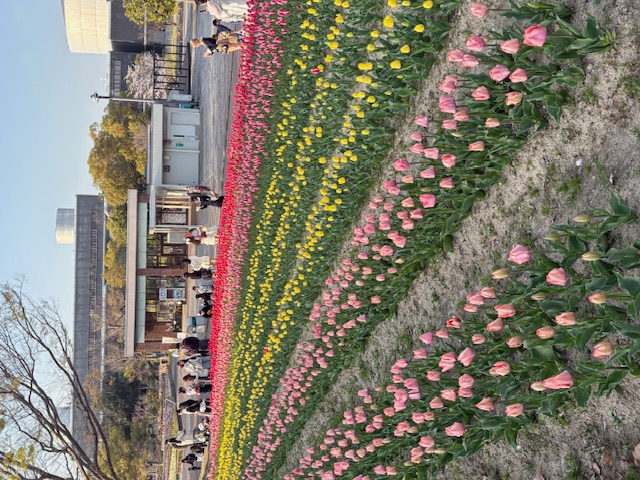 大阪旅行✨