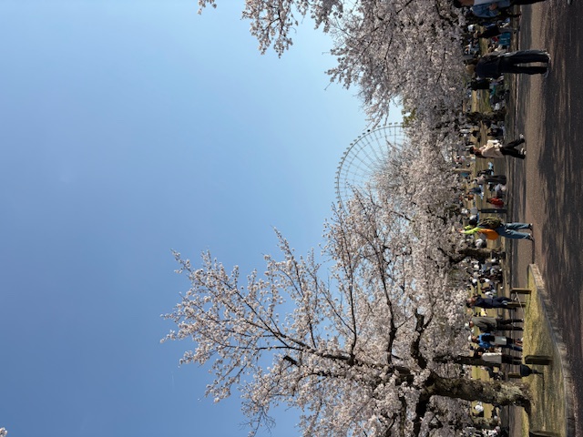 大阪旅行✨