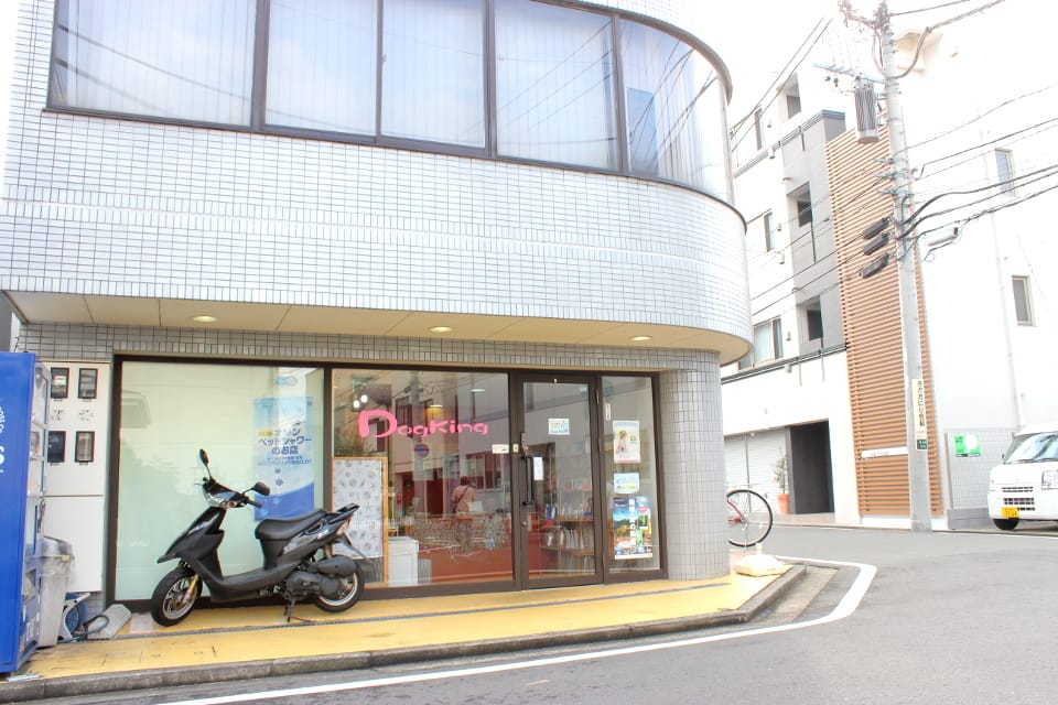 Dogking 中山店