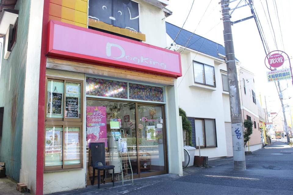 Dogking 大船店